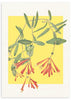 Cuadro de madreselva con flores tubulares naranjas, hojas verdes estilizadas y fondo amarillo suave, de estilo floral. Disponible en kudeko.com