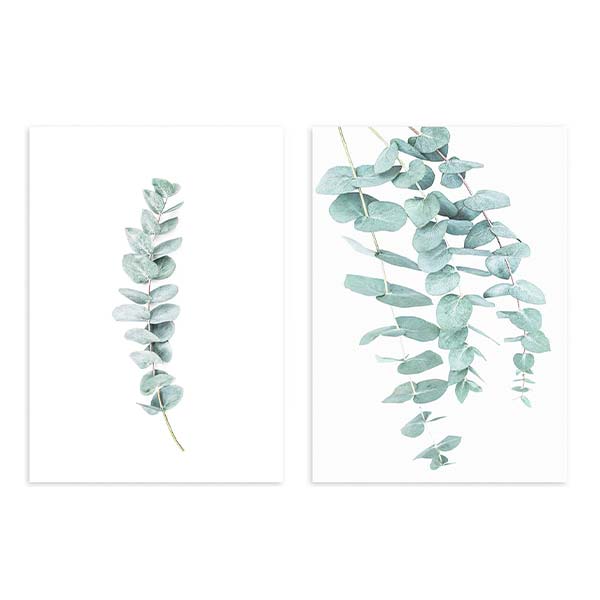 Conjunto de dois quadros com ramos de eucalipto em verde sálvia e azul acinzentado sobre fundo branco, composição botânica leve de estilo floral para decoração de parede natural. Disponível em kudeko.com