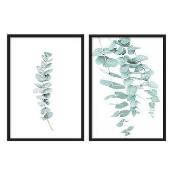 Two Combo - Eucalyptus