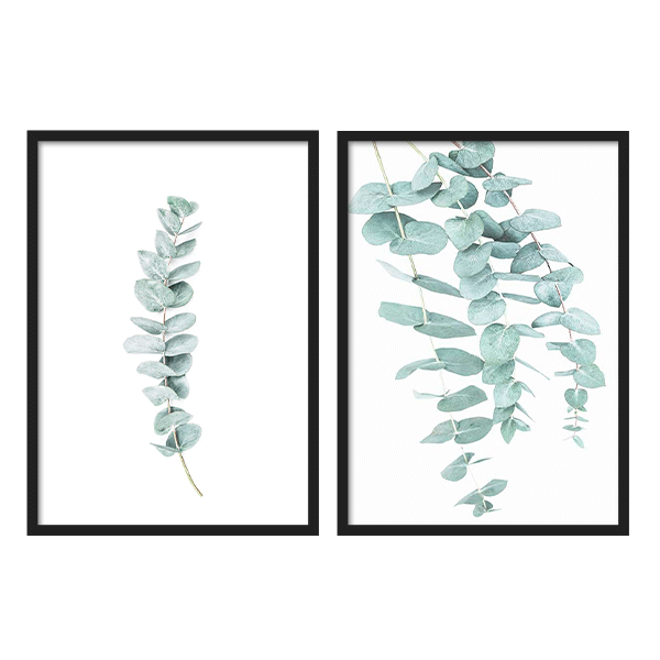 Two Combo - Eucalyptus