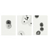 Conjunto de tres cuadros minimalistas en blanco y negro con diseños abstractos de tinta japonesa, kudeko.com
