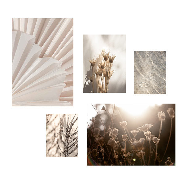 Conjunto de cinco quadros com pregas claras, espigas secas, textura orgânica e flores silvestres em bege, areia e castanho suave, com estilo natureza e paisagem para uma decoração de parede serena. Disponível em kudeko.com