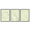 Conjunto de tres cuadros minimalistas con hojas. Disponible en kudeko.com
