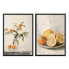 Conjunto de dois quadros emoldurados com ramo de laranjas numa jarra e natureza-morta de limões e laranjas, em tons creme, branco sujo, verde-oliva e laranja, estilo natureza e paisagem. Disponível em kudeko.com