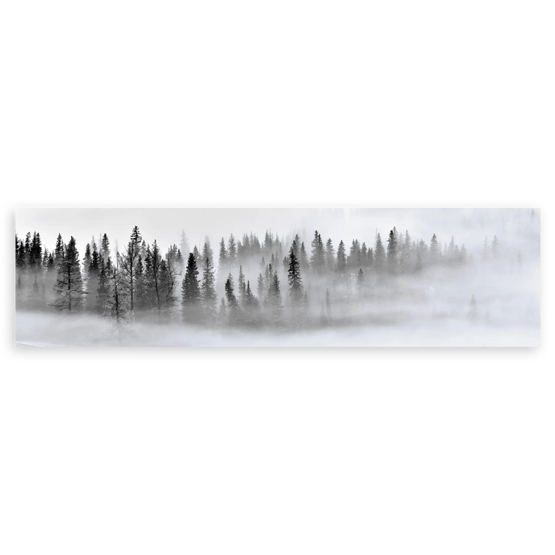 Cuadro horizontal blanco y negro de un bosque brumoso disponible en kudeko.com