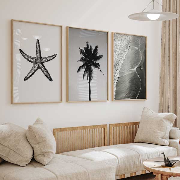 Cuadros en blanco y negro con estrella de mar, palmera y playa. kudeko.com