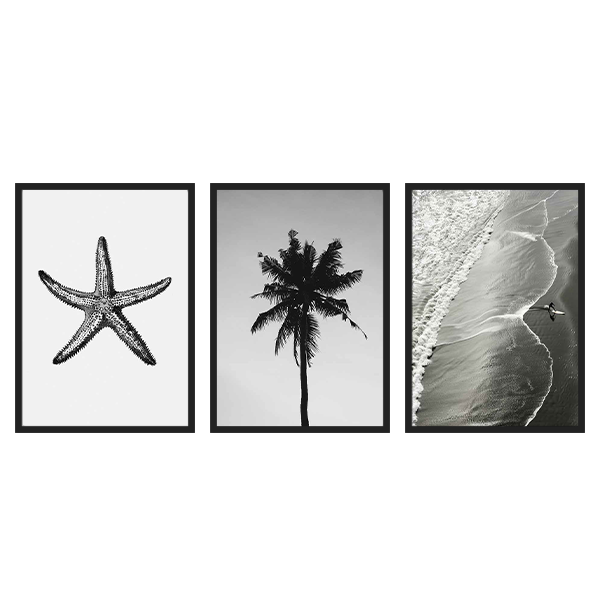 Cuadros en blanco y negro con estrella de mar, palmera y playa. kudeko.com