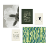 Conjunto de cinco cuadros decorativos sin marco de estilo minimalista y orgánico, mural botánico y natural en tonos verde y cielo, modelo Mural III - Jara cielo y verde