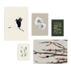 Conjunto de cinco cuadros decorativos sin marco de estilo minimalista y orgánico, mural sereno de naturaleza con flores y cigüeña, modelo Mural III - Tierra serena