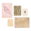 Conjunto de cinco cuadros decorativos sin marco de estilo orgánico y minimalista, mural botánico y animal en tonos suaves, modelo Mural III - Huellas Orgánicas