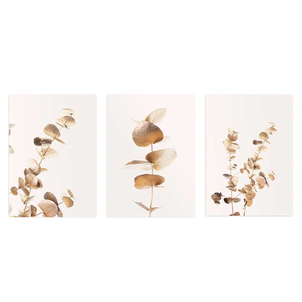 Set aus drei Wandbildern mit Eukalyptuszweigen, rundlichen Blättern in Gold, Beige und sanftem Braun auf hellem Hintergrund, im botanisch-floralen Stil für natürliche Wandgestaltung. Erhältlich auf kudeko.com