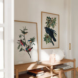 Gerahmtes Wandbild mit exotischen Vögeln auf Ästen, Blättern und Früchten, in Blau, Karminrot, Olivgrün und Beige, im naturalistischen Vintage Stil vor hellem Hintergrund. Erhältlich auf kudeko.com