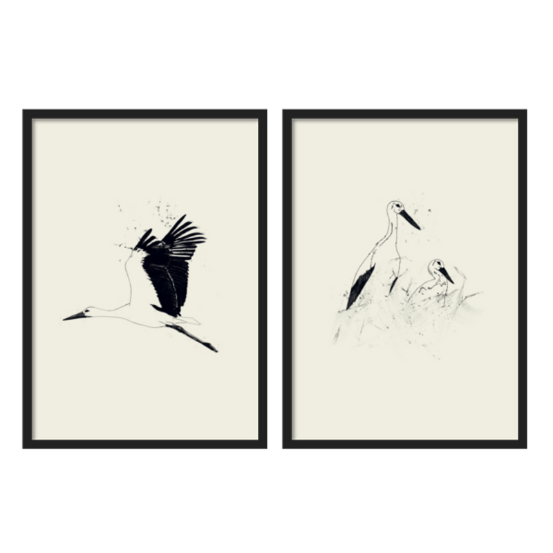 Two Combo - Cigüeñas