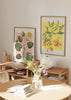 Conjunto de dos cuadros decorativos de estilo flores y tonos_pastel, dúo botánico de nenúfares y madreselva en tonos suaves, modelo Two Combo - Bloom Water Lilies