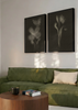 Conjunto de dos cuadros decorativos de estilo minimalista y orgánico, díptico botánico de flores en negro, modelo Two Combo - Biophilic