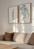 Conjunto de dos cuadros decorativos de estilo minimalista y orgánico, dúo botánico de hojas de eucalipto, modelo Two Combo - Eucalyptus