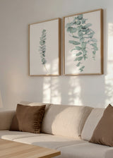Conjunto de dos cuadros decorativos de estilo minimalista y orgánico, dúo botánico de hojas de eucalipto, modelo Two Combo - Eucalyptus
