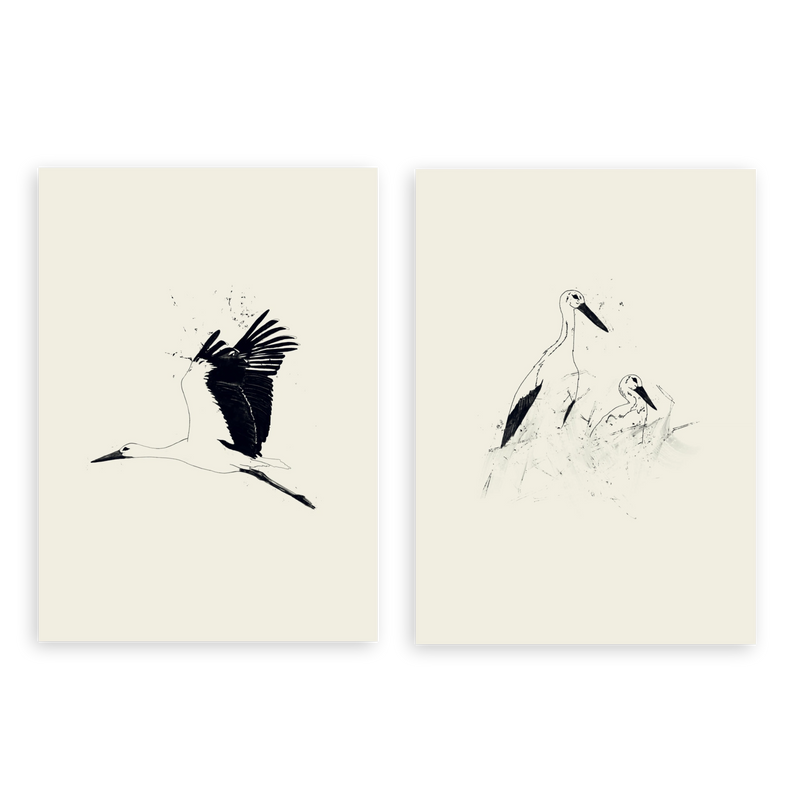 Conjunto de dos cuadros decorativos sin marco de estilo minimalista y blanco_y_negro, dúo de cigüeñas en vuelo y en el nido, modelo Two Combo - Cigüeñas