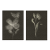 Conjunto de dos cuadros decorativos sin marco de estilo minimalista y orgánico, díptico botánico de flores en negro, modelo Two Combo - Biophilic
