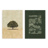 Conjunto de dos cuadros decorativos sin marco de estilo minimalista y orgánico, díptico botánico de encina y paisaje de cultivos, modelo Two Combo - Encina y cultivos