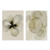 Conjunto de dos cuadros decorativos sin marco de estilo minimalista y orgánico, díptico de flor etérea y formas orgánicas en marfil, modelo Two Combo - Flor Marfil