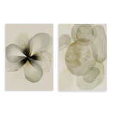 Conjunto de dos cuadros decorativos sin marco de estilo minimalista y orgánico, díptico de flor etérea y formas orgánicas en marfil, modelo Two Combo - Flor Marfil