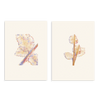 Conjunto de dos cuadros decorativos sin marco de estilo minimalista y orgánico, dúo abstracto de hojas en acuarela, modelo Two Combo - Hojas Suspendidas