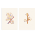 Conjunto de dos cuadros decorativos sin marco de estilo minimalista y orgánico, dúo abstracto de hojas en acuarela, modelo Two Combo - Hojas Suspendidas