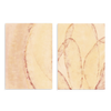 Conjunto de dos cuadros decorativos sin marco de estilo minimalista y orgánico, composición abstracta de pétalos y formas orgánicas en tonos suaves, modelo Two Combo - Pétalos de Luz