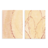 Conjunto de dos cuadros decorativos sin marco de estilo minimalista y orgánico, composición abstracta de pétalos y formas orgánicas en tonos suaves, modelo Two Combo - Pétalos de Luz