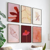 Conjunto de seis cuadros decorativos de estilo orgánico y abstracto, composición orgánica de flores y mariposa en tonos terracota, modelo Six Combo - Silencios Orgánicos