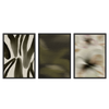 Conjunto de tres cuadros decorativos con marco de estilo minimalista y orgánico, tríptico abstracto en tonos oliva y bruma, modelo Three Combo - Bosque Velado