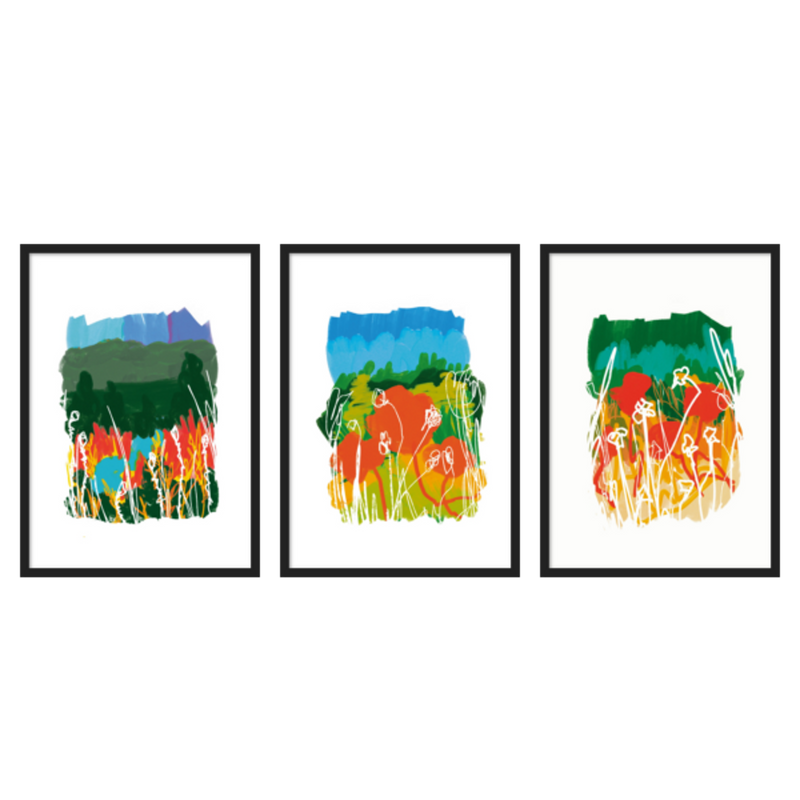 Three Combo - Campo de amapolas