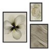 Conjunto de tres cuadros decorativos con marco de estilo orgánico y sereno, mural botánico en acuarela de flor marfil, modelo Mural I - Flor de Marfil