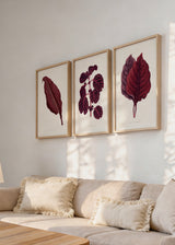 Set aus drei botanischen Wandbildern in Bordeauxtönen, erhältlich auf kudeko.com. Erhältlich auf kudeko.com