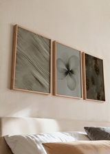 Conjunto de tres cuadros decorativos de estilo orgánico y sereno, composición botánica abstracta en tonos tierra, modelo Three Combo - Reflejos del tiempo