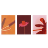 Conjunto de tres cuadros decorativos sin marco de estilo flores y minimalista, trío floral cálido y expresivo, modelo Three Combo - Flores Encendidas