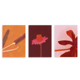 Conjunto de tres cuadros decorativos sin marco de estilo flores y minimalista, trío floral cálido y expresivo, modelo Three Combo - Flores Encendidas