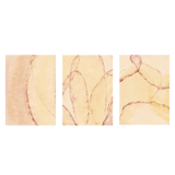 Conjunto de tres cuadros decorativos sin marco de estilo minimalista y beige, composición abstracta de hojas suaves en tonos cálidos, modelo Three Combo - Hojas de Luz