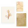 Conjunto de tres cuadros decorativos sin marco de estilo minimalista y orgánico, composición botánica abstracta en tonos tierra suaves, modelo Mural I - Silencios Salvajes