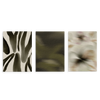 Conjunto de tres cuadros decorativos sin marco de estilo minimalista y orgánico, tríptico abstracto en tonos oliva y bruma, modelo Three Combo - Bosque Velado