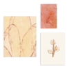 Conjunto de tres cuadros decorativos sin marco de estilo orgánico y abstracto, composición orgánica en tonos terracota y beige, modelo Mural I - Silencios Orgánicos