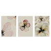 Conjunto de tres cuadros decorativos sin marco de estilo orgánico y minimalista, trío floral en acuarela suave, modelo Three Combo - Jardín de Lino