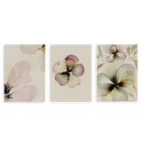 Conjunto de tres cuadros decorativos sin marco de estilo orgánico y minimalista, trío floral en acuarela suave, modelo Three Combo - Jardín de Lino