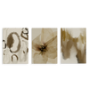 Conjunto de tres cuadros decorativos sin marco de estilo orgánico y sereno, composición botánica abstracta en tonos tierra, modelo Three Combo - Bruma Dorada