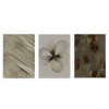 Conjunto de tres cuadros decorativos sin marco de estilo orgánico y sereno, composición botánica abstracta en tonos tierra, modelo Three Combo - Reflejos del tiempo