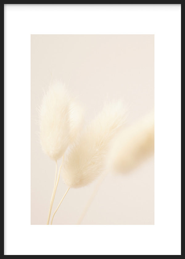 Tableau encadré avec épis queue-de-lièvre en tons crème, beige et blanc sur fond clair estompé, composition lumineuse au style nature et paysage nordique. Disponible sur kudeko.com