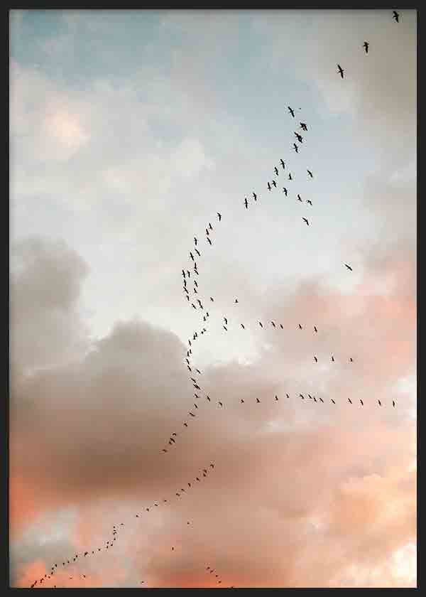Cuadro de aves en vuelo sobre cielo nuboso en tonos gris azulado, beige y rosa suave, con composición aérea de estilo fotográfico. Disponible en kudeko.com