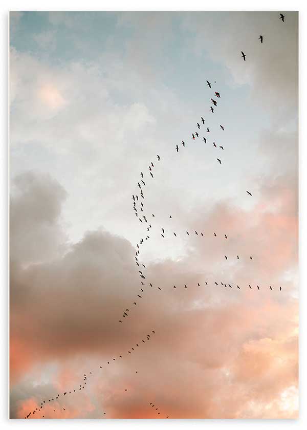 Tableau encadré avec oiseaux en vol sur ciel nuageux gris bleuté, beige et rose doux, composition aérienne au style photographique et ambiance apaisante. Disponible sur kudeko.com