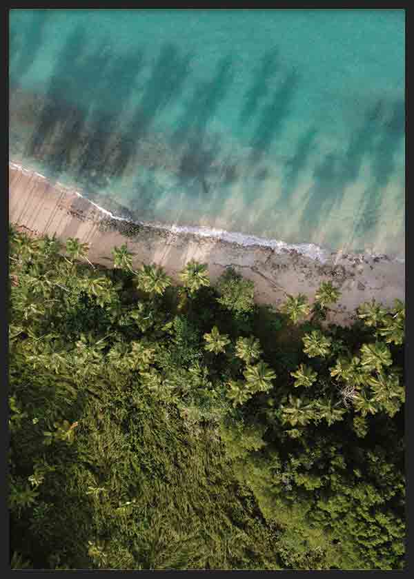 Cuadro de vista aérea de playa tropical con mar turquesa, arena clara, palmeras verdes y composición natural de estilo fotográfico. Disponible en kudeko.com